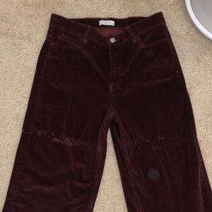 Maroon velvet straight leg pants